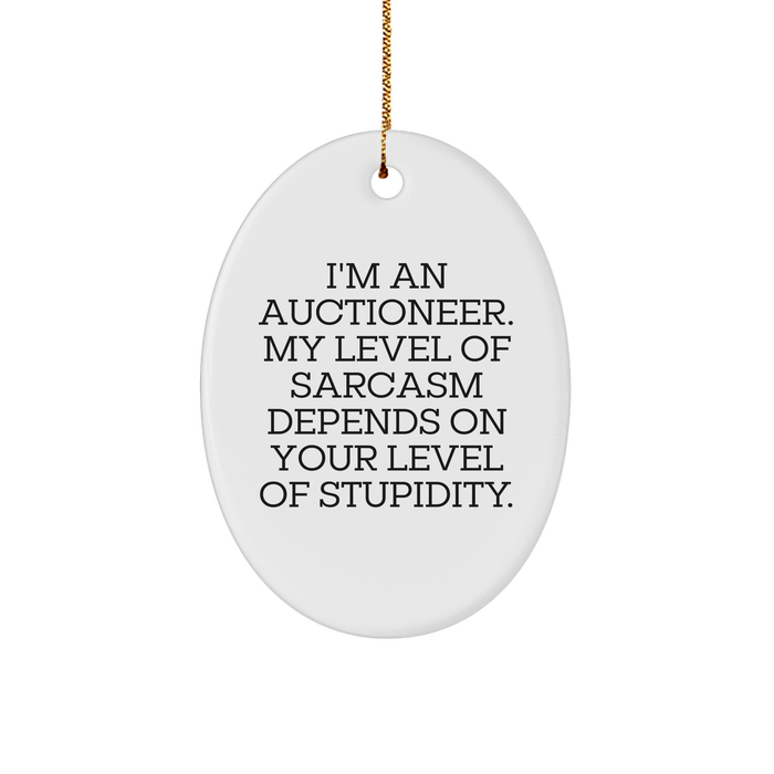 Auctioneer Oval Ornament Gifts from Friends for Christmas, 'I'm An Auctioneer' Sarcasm Level Gifts - Image 1