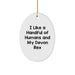 Devon Rex Cat's Feline Friend Christmas Ornament Oval Ornament Gifts from Friends to Family, Gifts for Cat Lovers - Image 1