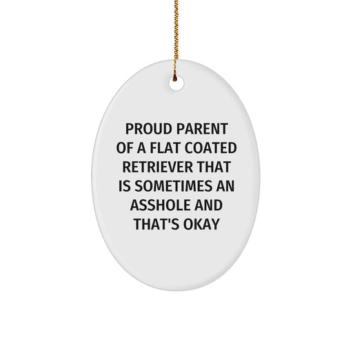 Flat Coated Retriever Dog, Proud Parent Gifts, Oval Ornament, Funny Christmas, 'Sometimes An Asshole' - Image 1