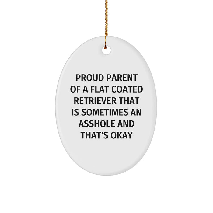 Flat Coated Retriever Dog, Proud Parent Gifts, Oval Ornament, Funny Christmas, 'Sometimes An Asshole' - Image 1