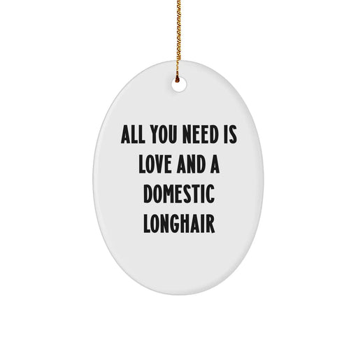 Domestic Longhair Cat Oval Ornament, All You Need Is Love And A Domestic Longhair, Christmas Unique Gifts from Friends, for Men, Women, Family - Image 1