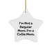 Collie Dog Mom's Christmas Unique Gift, 'I'm Not A Regular Mom. I'm A Collie Mom.' Star Ornament, Gifts from Mom to Collie Dog, Unique Holiday Decor - Image 1