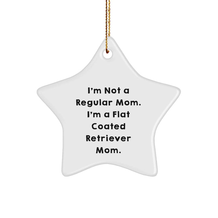 Flat Coated Retriever Dog Mom Funny Star Ornament Gifts from Family to Friends, Gifts for Flat Coated Retriever Dog Lovers, Christmas Unique - Image 1