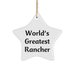 World's Greatest Rancher Star Ornament Gifts from Friends to Rancher, Men, Coworkers, Family - Christmas Unique Rancher Gifts - Image 1