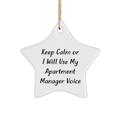 Funny Apartment Manager Gifts, Keep Calm Star Ornament, Christmas Decorations for Apartment Managers and Friends - Image 1