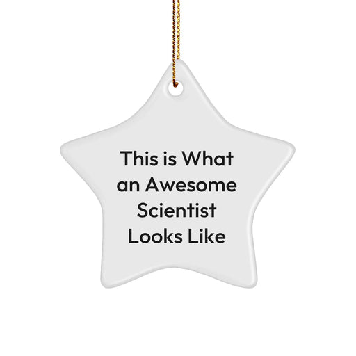 Funny Scientist Gifts for Friends: This Is What An Awesome Star Ornament Looks Like, White Star Shaped Decoration for Men and Women, Perfect Christmas Unique Gift from Family or Coworkers - Image 1