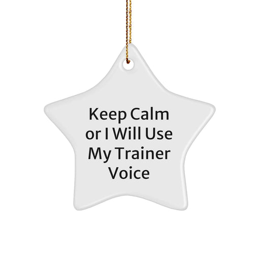 Funny Trainer Gifts from Friends for Trainers - Keep Calm Or I Will Use My Trainer Voice Star Ornament, Christmas Unique Trainer Decorations - Image 1