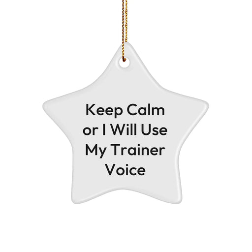 Funny Trainer Gifts for Men from Friends, Funny 'Keep Calm Or I Will Use My Trainer Voice' Star Ornament, Christmas Unique Gifts for Trainers, Star Shaped, 3.25" tall, Resistant to Breaking - Image 1
