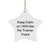 Funny Trainer Gifts for Men from Friends, Funny 'Keep Calm Or I Will Use My Trainer Voice' Star Ornament, Christmas Unique Gifts for Trainers, Star Shaped, 3.25" tall, Resistant to Breaking - Image 1