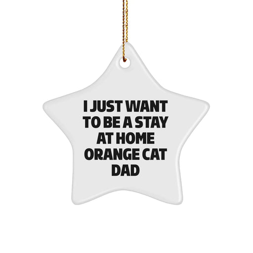 Funny Orange Cat Dad Gifts - 'I Just Want To Be A Stay At Home Orange Cat Dad' Star Ornament for Christmas from Gifts from Men to Orange Cat Lovers - Image 1