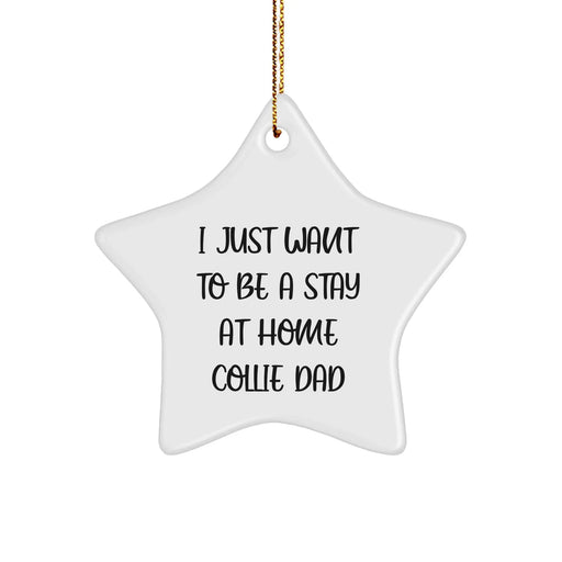 Collie Dad's Christmas Unique Gift, 'I Just Want To Be A Stay At Home Collie Dad' Funny Star Ornament, Gifts from Family for Collie Dog Lovers - Image 1