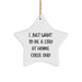 Collie Dad's Christmas Unique Gift, 'I Just Want To Be A Stay At Home Collie Dad' Funny Star Ornament, Gifts from Family for Collie Dog Lovers - Image 1