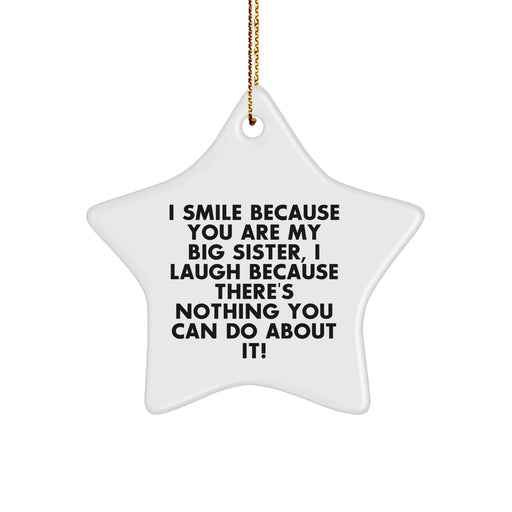 Funny Big Sister Gifts from Family or Friends - Star Ornament with I Smile Because You Are My Big Sister, I Laugh Because There's Nothing You Can Do About It! Quote for Big Sister on Christmas - Image 1