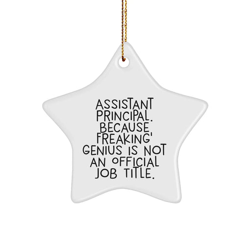 Funny Assistant Principal Gifts, Star Ornament with Inspirational Quote, Gifts from Friends for Assistant Principal, Christmas Unique Gifts for Her - Image 1