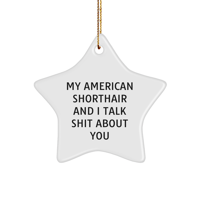 American Shorthair Cat Lovers Funny Star Ornament Gifts from Friends, Family, or Coworkers for Christmas - Image 1