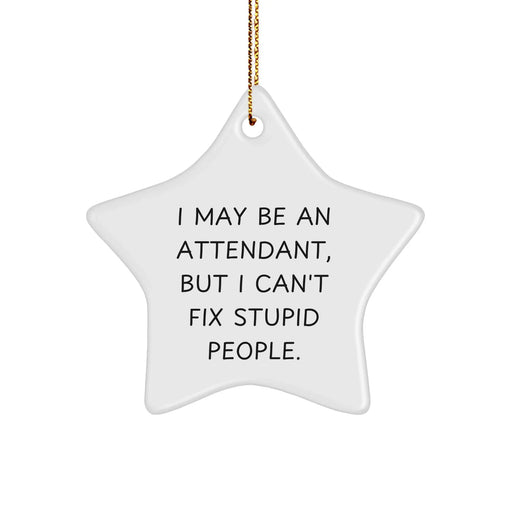 Funny Attendant Gifts from Friends for Attendant - Star Ornament with I May Be An Attendant, But I Can't Fix Stupid People. Quote, White, 3.25" tall, Christmas Unique Gifts - Image 1