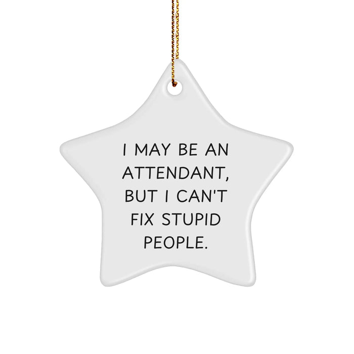 Funny Attendant Gifts from Friends for Attendant - Star Ornament with I May Be An Attendant, But I Can't Fix Stupid People. Quote, White, 3.25" tall, Christmas Unique Gifts - Image 1