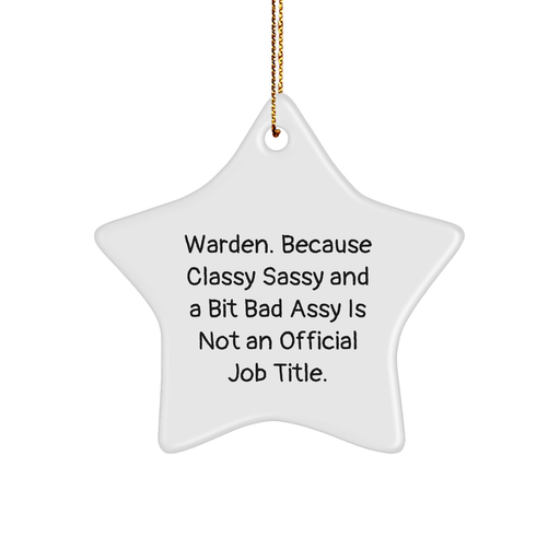 Warden Star Ornament, Funny Quote Gifts from Family to Friends, Christmas Decorations - Image 1