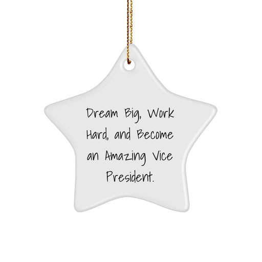 Funny Vice President Star Ornament Gifts from Friends and Family for Christmas, Dream Big, Work Hard, and Become an Amazing Vice President. - Image 1