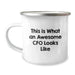 Funny CFO Gifts, Birthday Unique Presents for Men Women Friends Coworkers - This Is What An Awesome Cfo Looks Like Camping Mug - Image 1