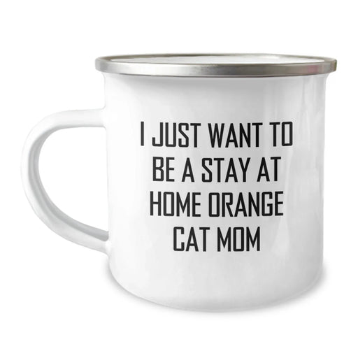 Funny Orange Cat Lover Gifts from Family, Orange Cat Mom Birthday Unique Gifts for Orange Cat - Image 1