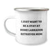 Funny Labrador Retriever Dog Gifts for Mom - I Just Want To Be A Stay At Home Labrador Retriever Mom - Camping Mug for Graduation, Gifts from Mom to Daughter or Friends - Image 1