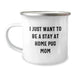 Funny Pug Dog Gifts - 'I Just Want To Be A Stay At Home Pug Mom' Camping Mug for Pug Dog Lover's Graduation, Gifts from Friends to Family, 12 oz Stainless Steel - Image 1