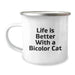 Funny Bicolor Cat Gifts from Friends for Birthday Unique Gifts, Life Is Better With A Bicolor Cat Quote Camping Mug, 12 oz Stainless Steel Enamel Finish - Image 1