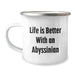 Funny Abyssinian Cat Lover Gifts from Friends for Birthday - Camping Mug, 'Life Is Better With An Abyssinian', 12 oz Stainless Steel with Enamel Finish - Image 1