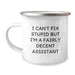 Funny Assistant Gifts for Men and Women, Unique Camping Mug for Assistants, Christmas Unique Gifts from Family to Friends, I Can't Fix Stupid But I'm A Fairly Decent Assistant - Image 1