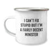 Funny Minister Gifts for Friends and Family - I Can't Fix Stupid But I'm A Decent Minister Camping Mug - Unique Birthday Unique Gifts from Men to Women - Image 1