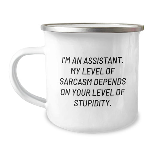 Funny Assistant Gifts from Friends or Family - Cute Camping Mug for Assistant with Sarcastic Quote - Father's Day Unique Gifts for Men or Women - Image 1