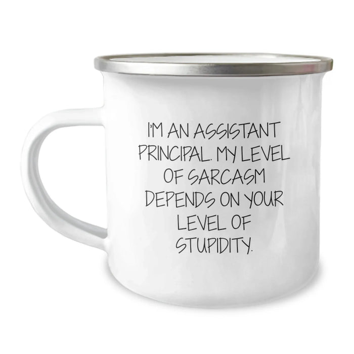 Funny Assistant Principal Gifts, Perfect Sarcasm Mug for Coworkers, Camping Mug for Valentine's - Image 1