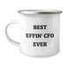 Funny CFO Gifts for Men - Best Effin' Cfo Ever Camping Mug for Valentine's Unique Gifts from Friends - Image 1