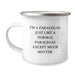 Funny Paralegal Gifts for Her, I'm A Paralegal. Just Like A Normal Paralegal Except Much Hotter. Birthday Unique Gifts from Friends - Image 1