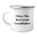 Funny Grandfather Gifts - I Have The Best Great Grandfather Quote Camping Mug for Men, Dad, Family, and Friends - Birthday Unique Gifts from Men to Grandfather - Image 1