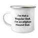 Funny Afghan Hound Dog Gifts for Dad Birthday Camping Mug - Gifts from Dad - 'I'm Not A Regular Dad. I'm An Afghan Hound Dad.' - Image 1