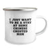 Funny Chinese Crested Dog Mom Gifts from Friends for Birthday Camping Mug - 'I Just Want To Be A Stay At Home Chinese Crested Mom' Quote, 12 oz Stainless Steel with Enamel Finish - Image 2