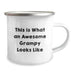 Funny Grampy Gifts from Family to Grampy, Grampy Camping Mug with Inspirational Quote, Birthday Unique Gifts for Grandpa - Image 2