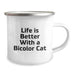 Funny Bicolor Cat Gifts from Friends for Birthday Unique Gifts, Life Is Better With A Bicolor Cat Quote Camping Mug, 12 oz Stainless Steel Enamel Finish - Image 2