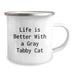 Funny Gray Tabby Cat Camping Mug Gifts for Men Women Friends - 'Life Is Better With A Gray Tabby Cat' Birthday Unique Gifts from Family - Image 2