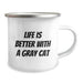 Funny Gray Cat Gifts from Friends, Unique Birthday Unique Gifts for Gray Cat Lovers, Camping Mug with Quote Life Is Better With A Gray Cat - Image 2