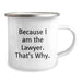 Funny Lawyer Gifts from Men to Lawyer Friends for Valentine's Unique Camping Mug - Because I Am The Lawyer. That's Why. - Image 2