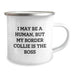 Funny Border Collie Dog Gifts for Men from Family - Camping Mug, 'I May Be A Human, But My Border Collie Is The Boss', Birthday Unique Gifts - Image 2