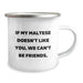 Funny Maltese Dog Lover Gifts from Friends, Unique Birthday Unique Gifts for Maltese Dog, Camping Mug with Quote 'If My Maltese Doesn't Like You, We Can't Be Friends.' - Image 2