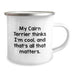 Funny Cairn Terrier Dog Gifts for Men - My Cairn Terrier Thinks I'm Cool, Camping Mug for Birthday, Gifts from Friends - Image 2