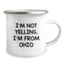 Funny Ohio Gifts from Men for Ohio Lovers on Valentine's - Unique Camping Mug - Image 2