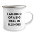 Funny Illinois Gifts for Men from Friends - I Am Kind of a Prime Selection in Illinois Camping Mug for Graduation - Image 2