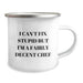 Funny Chef Gifts from Friends for Valentine's Unique Camping Mug, I Can't Fix Stupid But I'm A Fairly Decent Chef, Stainless Steel with Enamel Finish, Gift for Chef - Image 2