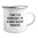 Funny Minister Gifts for Friends and Family - I Can't Fix Stupid But I'm A Decent Minister Camping Mug - Unique Birthday Unique Gifts from Men to Women - Image 2